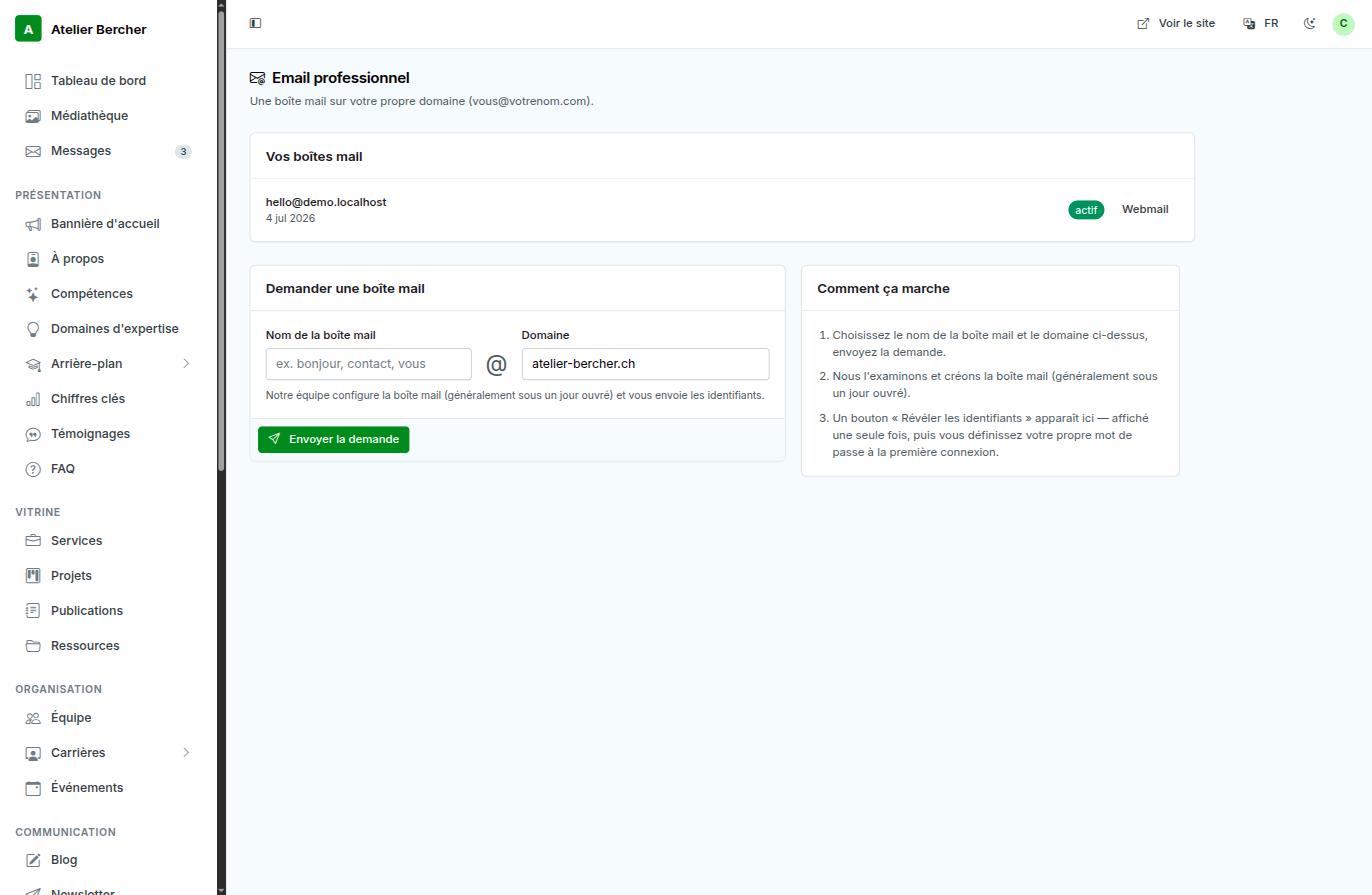 La pantalla Correo profesional: sus buzones, el formulario de solicitud y los tres pasos explicados.